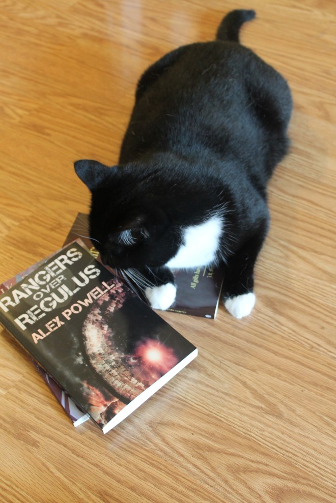 sniffing books is the highest praise a cat can offer