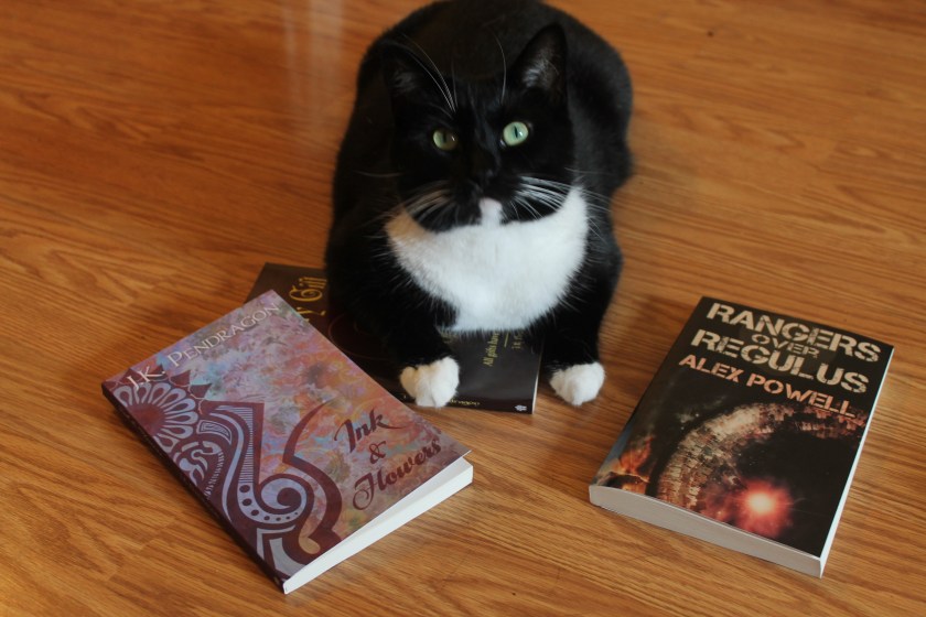 "ah, you are taking photographs of me. proceed."