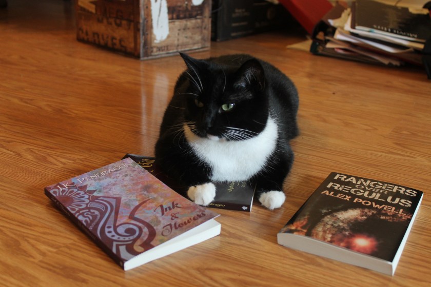 "yes. i AM that attractive, aren't i."