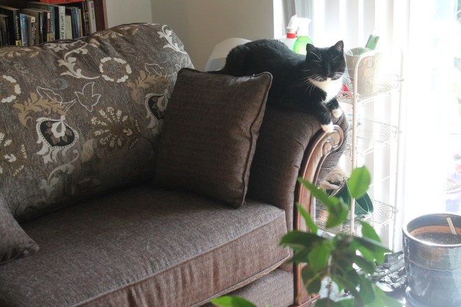 We got her a new couch.